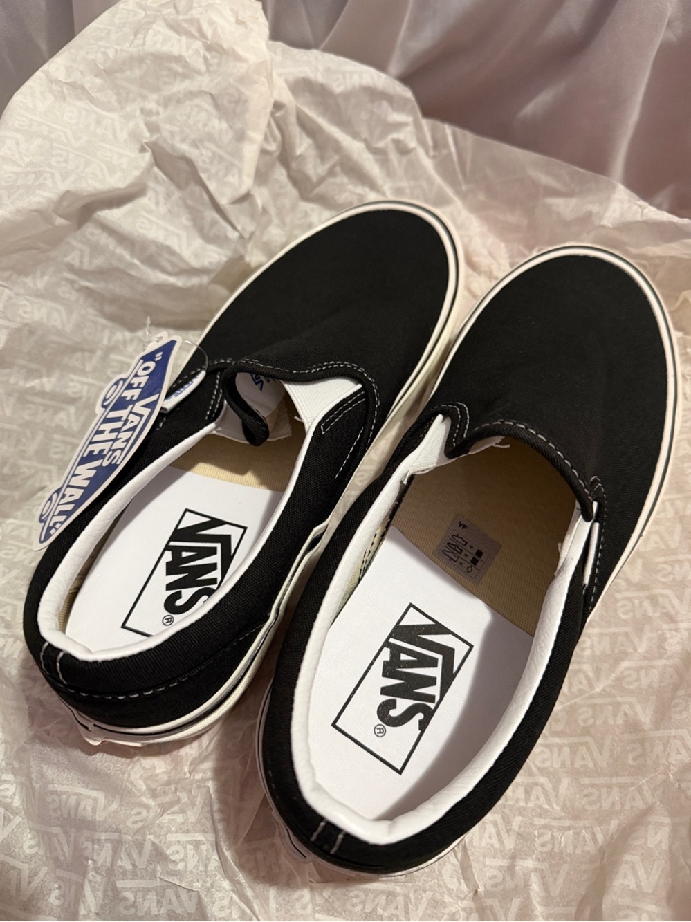 Aritzia x Vans Black Canvas Slip-On